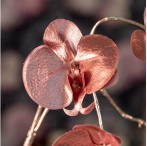 LEONARDO ORNARE orchidea 85cm rózsaszín