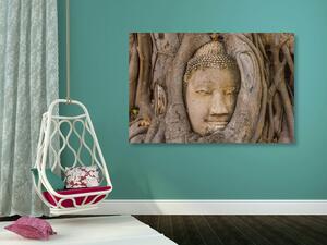 Kép Buddha szent fügefája