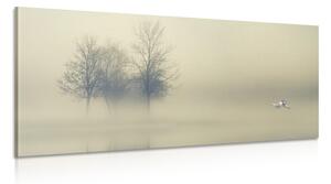 Kép fák ködben