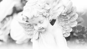 Kép kis angyal