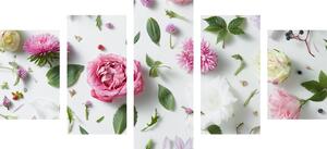 5 részes kép bámulatos virág háttér