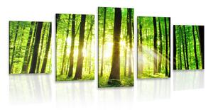5 részes kép üde zöld erdő