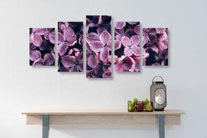 5 részes kép lila orgona virágok