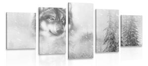5 részes kép farkas havas erdőben fekete fehérben