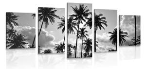 5 részes kép kókusz pálmafák a tengerparton fekete fehérben
