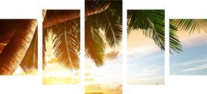 5 részes kép napkelte a karib tengerparton