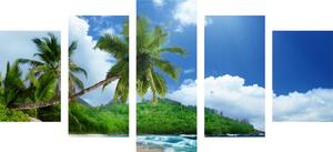 5 részes kép csodálatos táj Seychel szigetek