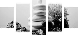 5 részes kép Zen kövek és kagylók fekete fehérben