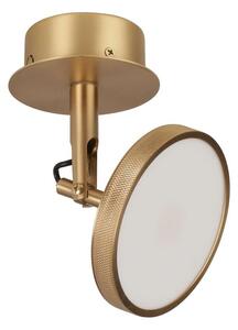 UMAGE - Asteria Spot Mennyezeti Lámpa Plated BrassUmage - Lampemesteren