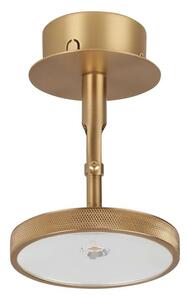 UMAGE - Asteria Spot Mennyezeti Lámpa Plated BrassUmage - Lampemesteren