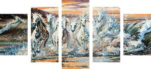 5 részes kép lovak vízből