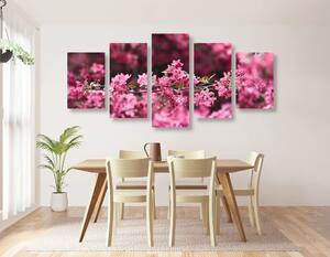 5 részes kép cseresznye virág részletesen