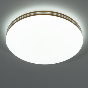 Kerek mennyezeti LED lámpa, 35 cm (Oscar)