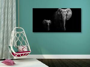 Kép elefánt és kölyke
