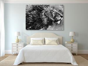 Kép állatok királya akvarellekben