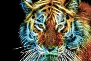 Kép tigris fej absztrakt kivitelben