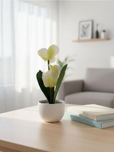 Sinsay - Dekoratív cserepes növény – orchidea - krémszínű