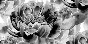 Kép rózsa fekete fehérben