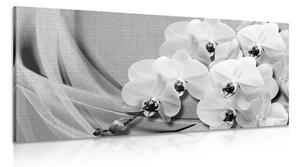 Kép orchidea vásznon fekete fehérben