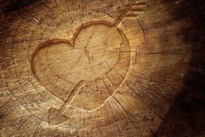 Kép szív a fa törzsben