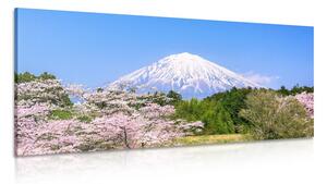 Kép Fuji hegy