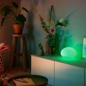 Philips Hue - Flourish Hue Asztali Lámpa Bluetooth White/Color Amb. - Lampemesteren