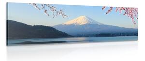 Kép kilátás a Fuji hegyre