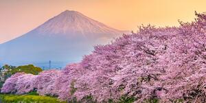 Kép látvínyos Japán ország
