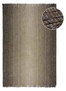 Szürke szőnyeg 120x170 cm – Flair Rugs