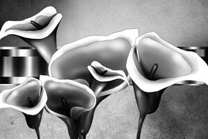 Kép elegáns kála virágok fekete fehérben