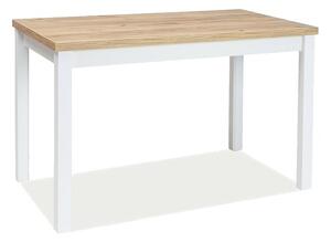 Étkezőasztal, fehér/matt/arany/tölgy, ADAM 120x68