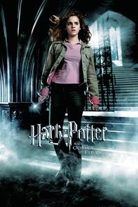 Művészi plakát Harry Potter and the Goblet of Fire - Hermione
