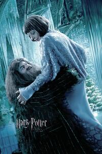 Művészi plakát Harry Potter and the Goblet of Fire - Hagrid