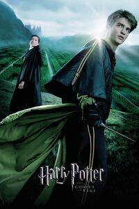 Művészi plakát Harry Potter and the Goblet of Fire - Cedric