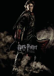 Művészi plakát Harry Potter and the Goblet of Fire - Harry