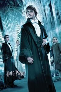 Művészi plakát Harry Potter and the Goblet of Fire - Harry