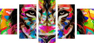 5 részes kép színes oroszlán fej