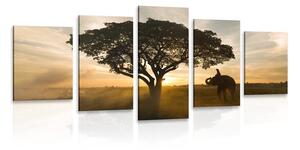 5 részes kép elefánt napkeltével