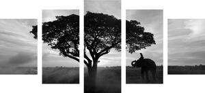 5 részes kép elefánt napkeltével fekete fehérben