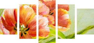 5 részes kép piros tulipánok vintage kivitelben