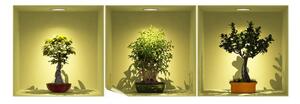 Bonsai Trees On Spot 3 db-os 3D hatású falmatrica szett - Ambiance