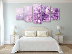 5 részes kép lila orgona virág