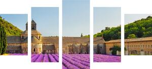 5 részes kép Provence levandula mezővel
