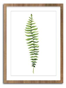 Kép 30x40 cm Greenery – Styler