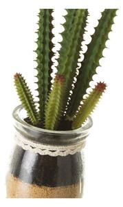 Műnövény szett 4 db-os (magasság 18 cm) Cactus – Casa Selección