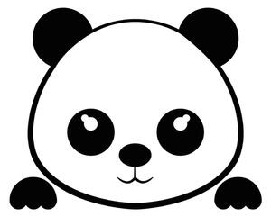 Panda Plug falmatrica - Ambiance
