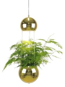 Globen Lighting - Mini Planter Függőlámpa BrassGloben Lighting - Lampemesteren