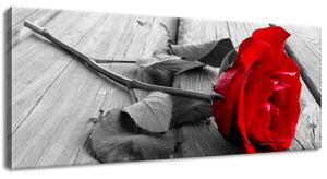 Gario Vászonkép Vörös Rózsa Méret: 40 x 60 cm
