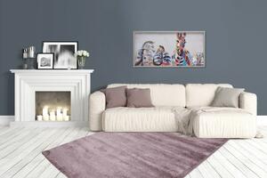 Softtouch 700 pasztell lila szőnyeg 200x290 cm