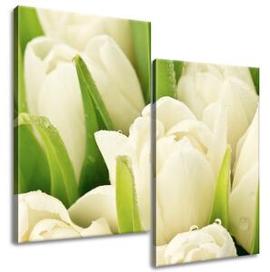 Gario Vászonkép Gyengéd tulipánok - 2 részes Méret: 60 x 60 cm